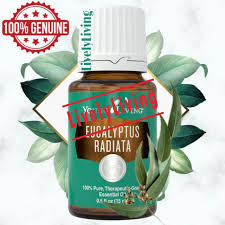 Эфирное масло эвкалипта eucalyptus radiata. Young Living Eucalyptus Radiata Essential Oil 5ml 15ml Shopee Malaysia
