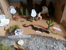 Desert Biome In A Box Sonoran Desert Biome Shoebox Diorama Desert Biome Biomes Project Ecosystems Projects