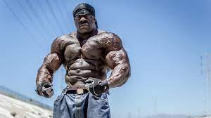 We did not find results for: Musculation Kali Muscle L Homme Le Plus Fort Des Etats Unis