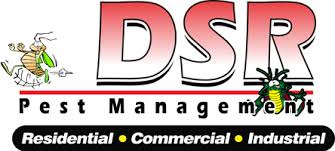 Is it safe and effective? The Pest Control Tucson Needs Is Dsr Pest Management Inc Call Or Click