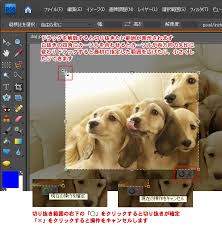 画像の切り抜き トリミング 初心者でもできる Adobe Photoshop Elements7 フォトショップエレメンツ７ 操作マニュアル 使い方 Sierrarei シエラレイ