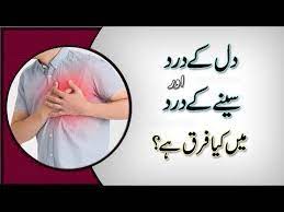 Pin On Health Tips In Urdu