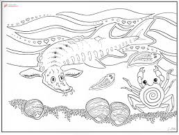 The pdf prints best on standard 8.5 x 11 paper. Fish Migration On Twitter Look At These Masterpieces Use These Colouring Pages In Your Upcoming Events And Share Them With Kids And Schools The Fish Represented Are In Order 1 Chinese