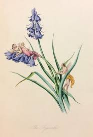 Buy paintings by jane elizabeth cullum and discover artworks from independent artists. Floral Poems With Pictures In The Flowers Vialibri