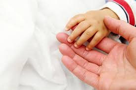 Florida custody law does not give any preference to mothers or fathers when deciding child custody matters. Florida Custody Rights Unmarried Parents Tampa Divorce Family Law Attorney