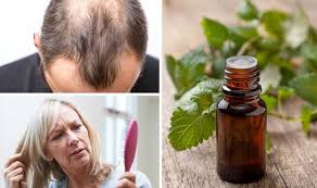 It can improve hair strength, in addition to increasing hair growth, making. Hair Loss Treatment Peppermint Essential Oil Trumps Minoxidil In Hair Boosting Trial Express Co Uk