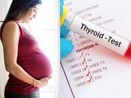 थायराइड बढ़ने पर क्या करें? | प्रेग्नेंसी में थायराइड कितना होना चाहिए?  जानें गर्भावस्था में क्यों बढ़ जाता है थायराइड का स्तर | Thehealthsite.com  ...