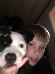 Lost dog in Lansdowne, PA area