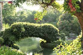 Japanese Tea Garden Is A Free Must See Destination In San Antonio