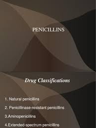 Image result for Extended Spectrum Penicillin