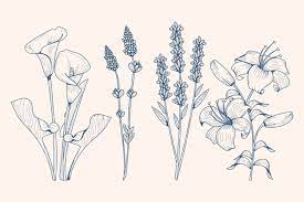 Pngtree offers hand drawn flowers png and vector images, as well as transparant background hand drawn flowers clipart images and psd files. Hand Drawn Flowers Images Free Vectors Stock Photos Psd
