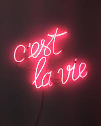 Angel Bouquet Angel Bqt Photos Et Videos Instagram Neon Quotes Neon Signs Neon Words