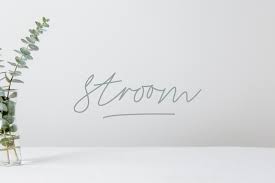 This is a collection of the best handwriting fonts from google fonts. Stroom Script Signature Font In Fonts On Yellow Images Creative Store