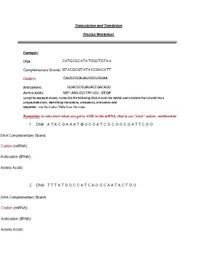 Home » math worksheet » transcription and translation practice worksheet. Transcription And Translation Practice Worksheets Tpt