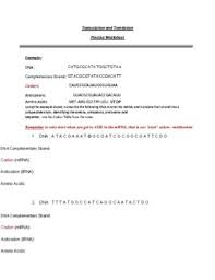 These steps differ in prokaryotic and eukaryotic cells. Transcription And Translation Practice Worksheets Tpt