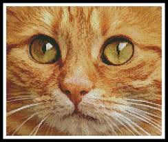 Pattern is easy to stitch and makes a great beginners project. Ginger Cat Close Up Cross Stitch Pattern