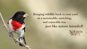 Nature's way bamboo vertical wave feeder is a decorative and functional bird feeder for anyone's home. Nature S Way Bird Products Home Facebook