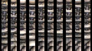 Assamese gf k ghorot ani sudilu - XNXX.COM