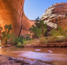 Maybe you would like to learn more about one of these? Pine Valley Vacation Rentals From 93 Hometogo