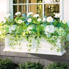 We did not find results for: Faux Flowers For Window Boxes Could You Would You Addicted 2 Decorating Window Box Flowers Window Planter Boxes Window Planters