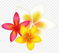 Collection of tropical flowers on transparent background elements hibiscus magnolia strelitzia plumeria and leaves. Image Tropical Flower Clipart Png Free Transparent Png Clipart Images Download