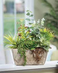 We did not find results for: Order Silk Flower Arrangements Inspired By Spring At Petals Artificial Plant Arrangements Artificial Succulent Plants Artificial Garden Plants