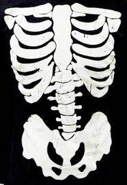Drawings Stencils Skull Art