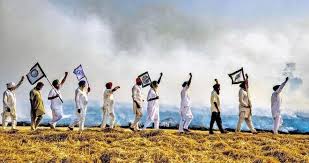 Image result for punjab kisan