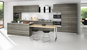 modern kitchen cabinets orlando