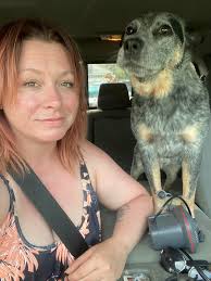 Heelers Dislike Being Photographed