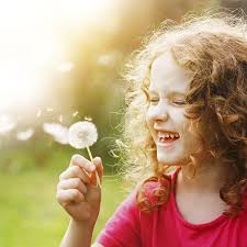 20 20 /20 21 BIENNIAL REPORT