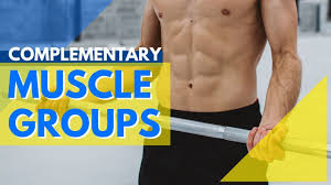 Maybe you would like to learn more about one of these? Which Muscle Groups To Workout Together Mission Lean