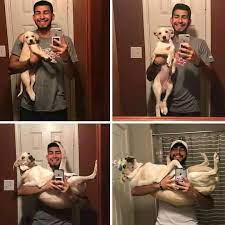 Pin Em Memes Divertidos Sobre Cachorros E Gatos