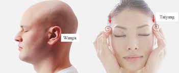 Physical stability, hair growth activity on rats, and safety test. Acupressure Points For Hair Loss Tcm Simple