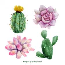 Learn how to paint a cactus like this simple version, and then turn it into a lovely watercolor resist painting. Free Vector Watercolor Hand Painted Flowers And Cactus