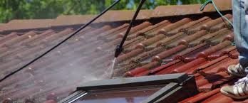 Enlever tache noire sur tuile. Nettoyage De Toiture Avec De La Javel Les Risques Allotoiture Com