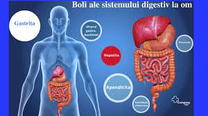 Alimentatie sanatoasa, pastrarea igienii alimentatiei, evitarea consumului in excea al tutunului, alcoolului, cafelei, pastrarea unei atmosfere linistite in timpul meselor, evitarea alimentelor prajite. Boli Ale Sistemului Digestiv By Rares Alexandru Braescu