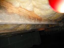 Pin On Mold Remediation