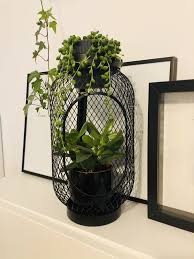 Ikea Hack Toppig Lantern Hauspflanzen Ikea Wohnen