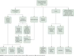 This is a basic manual designed to introduce patients and their families to end stage renal disease. The Aging Kidney And End Stage Renal Disease Chapter 15 Silva S Diagnostic Renal Pathology