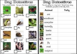 bug identification for kids ks1 and ks2 science teaching