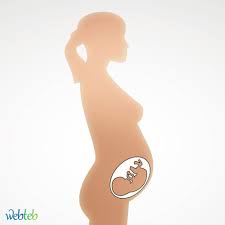 الحمل في الشهر السابع على ويب طب