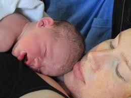 We did not find results for: Vaginal Birth