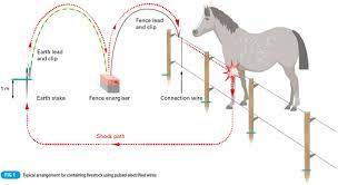 Wiring an electric fence is a challenging job. What Are The Installation Requirements For Electric Fence