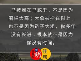 佳句马被圈在马厩里不是因为围栏太高大象被拴在树上也不是因为链子太粗你多年没有长进根本就不是因为你没有时间