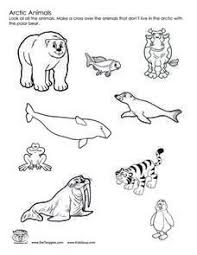 Arctic Animals 2nd 3rd Grade Worksheet Arctic Tundra Animals Arctic Animals Arctic Tundra