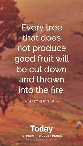 Grafted trees bloom within two to three years. Pin On Loving My God My Saviour