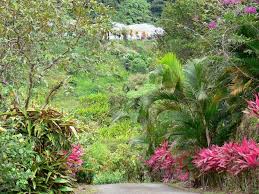 Jul 20, 2021 · public notice. Plantation Beauvallon Lieux A Visiter Tourisme Belle Martinique