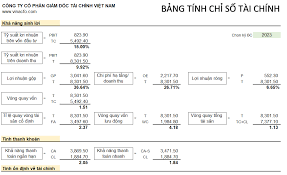 Bảng tính chỉ số tài chính - VINACFO
