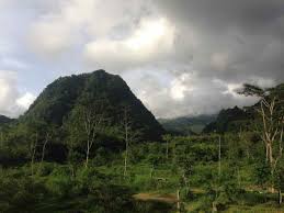 Proposal pengelolaan hutan sebagai tempat wisata. Permenlhk P 1 Menlhk Setjen Kum 1 1 2019 Tentang Izin Industri Primer Hasil Hutan Jogloabang